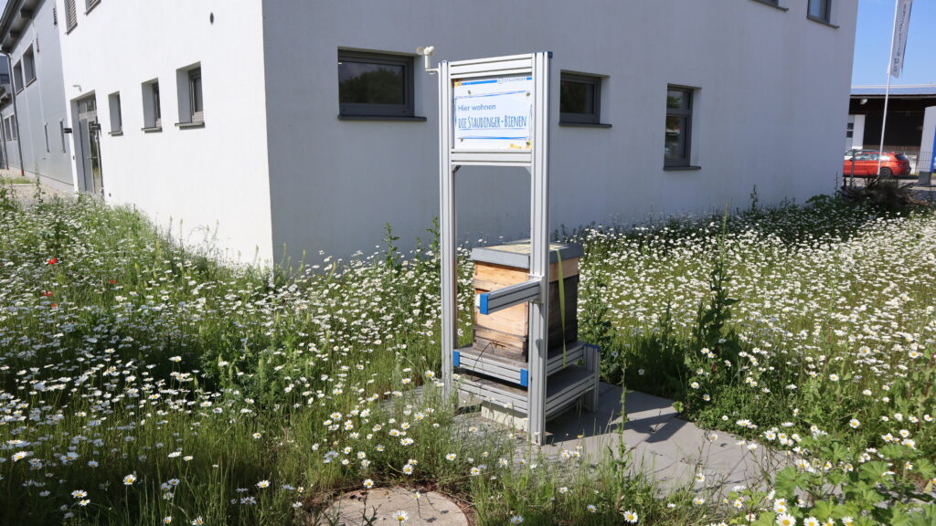 24 Werk2 Bienen 12 Bienenstock im Frühjahr